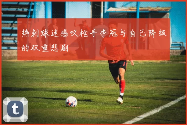 热刺球迷感叹枪手夺冠与自己降级的双重悲剧